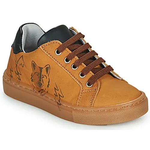 GBB  PIETRO  boys's Children's Shoes (Trainers) in Brown