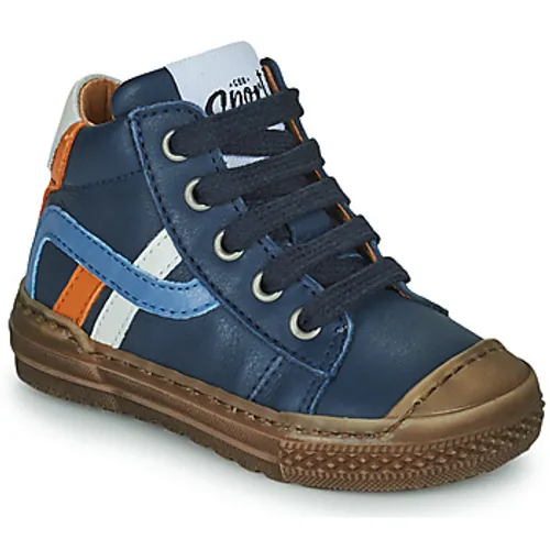 GBB  POKETTE  boys's Children's Shoes (High-top Trainers) in Marine