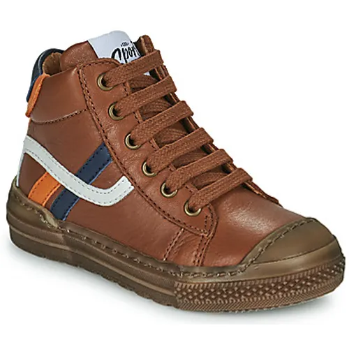 GBB  RAPIDO  boys's Children's Shoes (High-top Trainers) in Brown