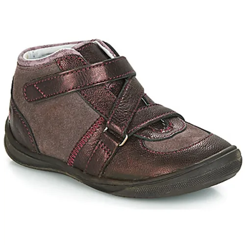 GBB  RIQUETTE  girls's Children's Mid Boots in Brown