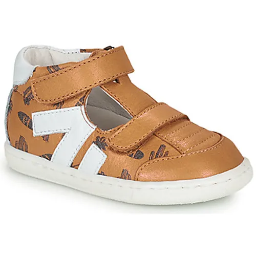 GBB  SAMBO  boys's Children's Shoes (High-top Trainers) in Brown