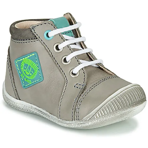 GBB  TARAVI  boys's Children's Shoes (High-top Trainers) in Grey