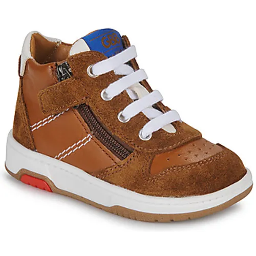 GBB  VALDECK  boys's Children's Shoes (High-top Trainers) in Brown