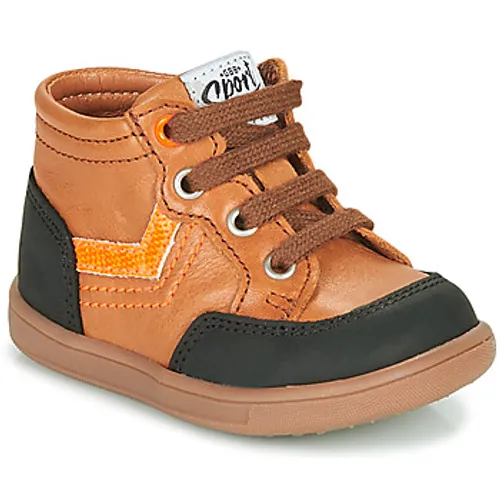 GBB  VIGO  boys's Children's Shoes (High-top Trainers) in Brown