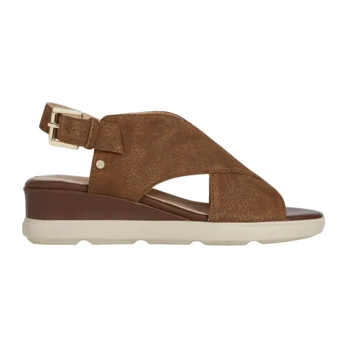 Geox , D Pisa Sandals ,Brown female, Sizes:
