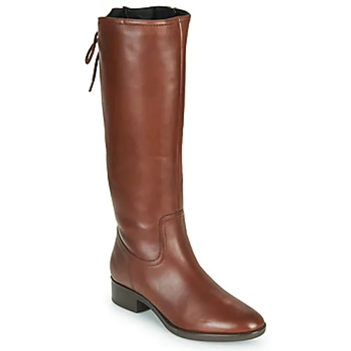 Geox  FELICITY  women's High Boots in Brown