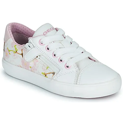 Geox  J GISLI GIRL B  girls's Children's Shoes (Trainers) in Pink