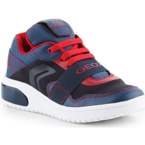 Geox  JR Xled Boy  boys's Children's Shoes (High-top Trainers) in Marine