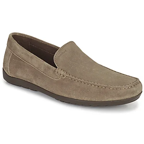 Geox  TIVOLI  men's Loafers / Casual Shoes in Beige