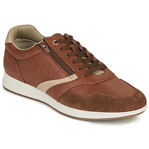Geox  U AVERY B  men's Shoes (Trainers) in Brown