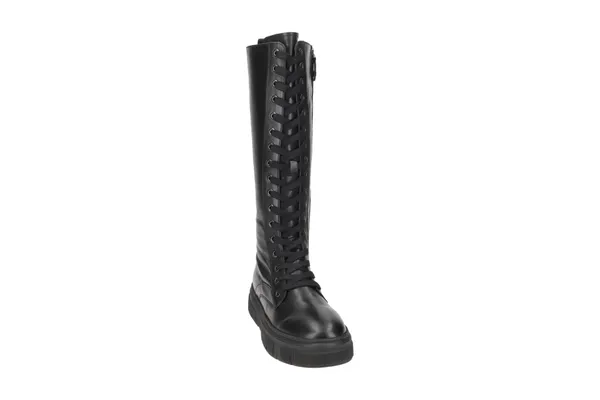 Geox Woman D Isotte C Boots