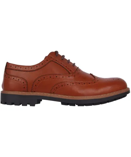 Giorgio Webster Mens Brogues - Brown Leather