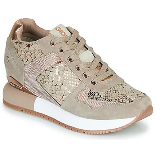 Gioseppo  RAPLA  women's Shoes (Trainers) in Beige