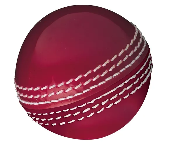 Gunn & Moore GM Cricket Training Ball