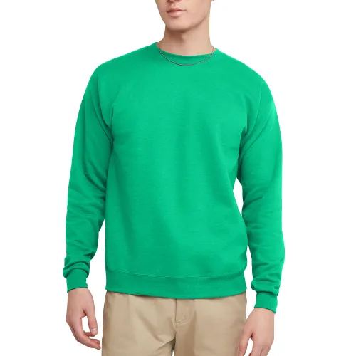 Hanes Men's sweatshirt (pack of 1)