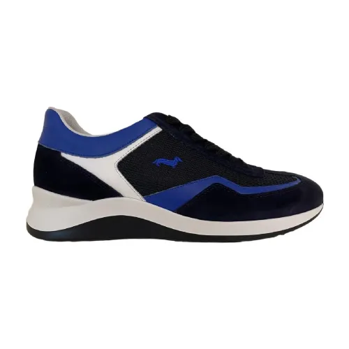 Harmont & Blaine , Sneakers ,Blue male, Sizes: