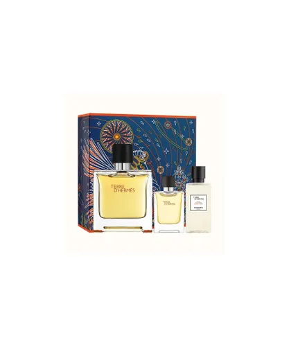 Hermes Womens Terre d' Pure Parfum 100ml EDT Gift Set + 40ML AS + MINI - NA - One Size