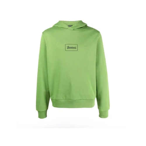 Herno , Hoodie ,Green male, Sizes: