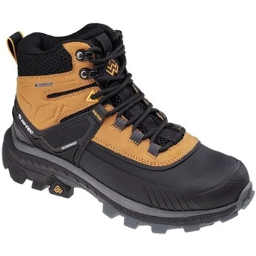 Hi-Tec  34935373171  men's Walking Boots in multicolour