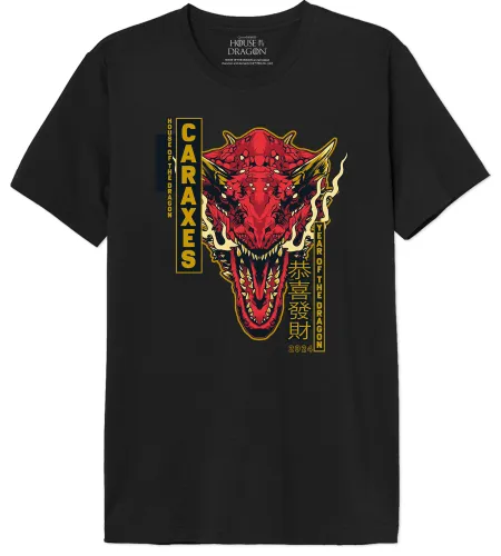 House of the Dragon Men's Mehoftdts023 T-Shirt