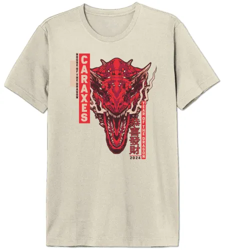 House of the Dragon Men's Mehoftdts024 T-Shirt