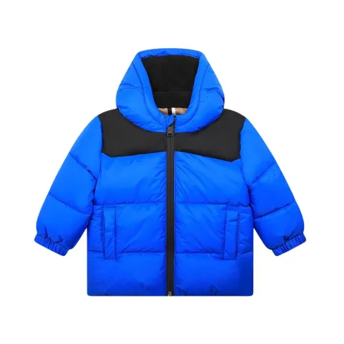 Hugo Boss , Bicolor Nylon Puffer Jacket ,Blue male, Sizes: