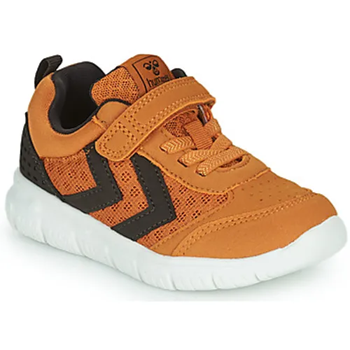hummel  -  boys's Children's Shoes (Trainers) in Brown