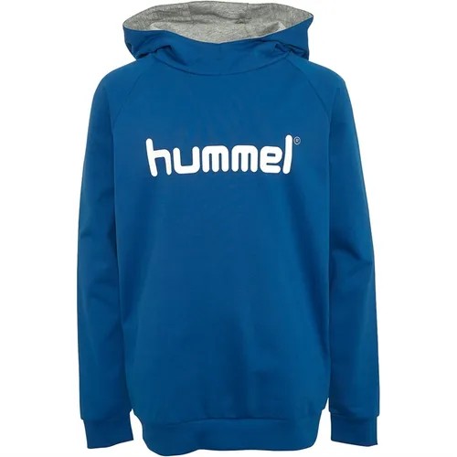 Hummel Junior Boys Cotton Logo Hoodie True Blue