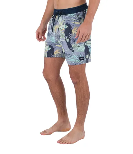 Hurley Men's Phntm-eco Cannonball Vlly 17' Men's Swimsuit