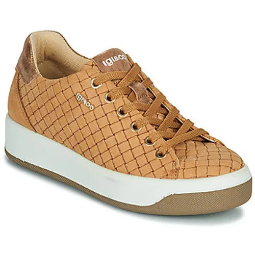 IgI&CO  1659033  women's Shoes (Trainers) in Brown