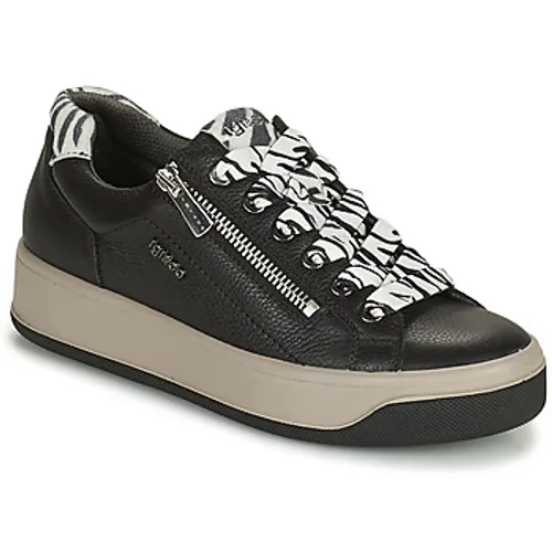 IgI&CO  DONNA AVA  women's Shoes (Trainers) in Black