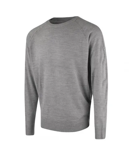 Island Green Raglan Mens Light Grey Sweater