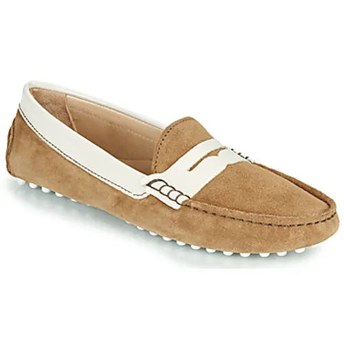 JB Martin  1TABATA  women's Loafers / Casual Shoes in Brown
