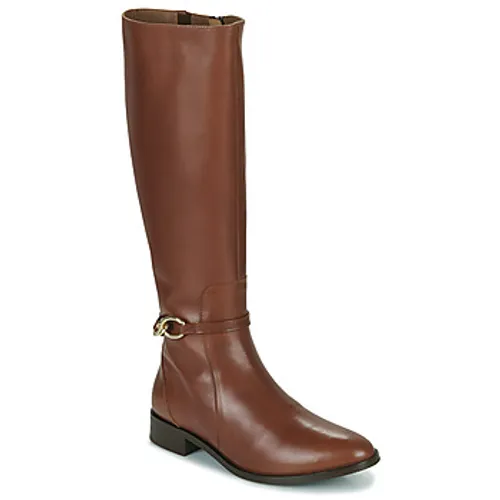 JB Martin  LIDIA  women's High Boots in Brown
