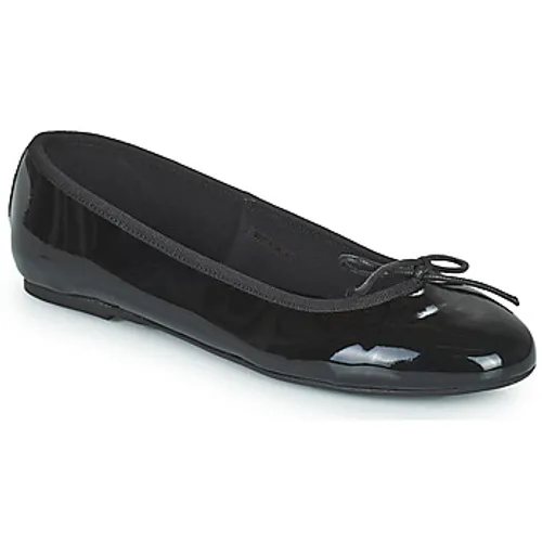 JB Martin  ROMY  women's Shoes (Pumps / Ballerinas) in Black