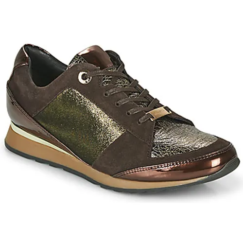 JB Martin  VILNES  women's Shoes (Trainers) in Brown