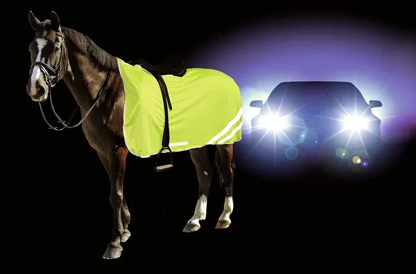 Kerbl Reflective Horse Safety Blanket Size:135 cm