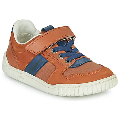 Kickers  WINTUP  boys's Children's Shoes (Trainers) in Brown