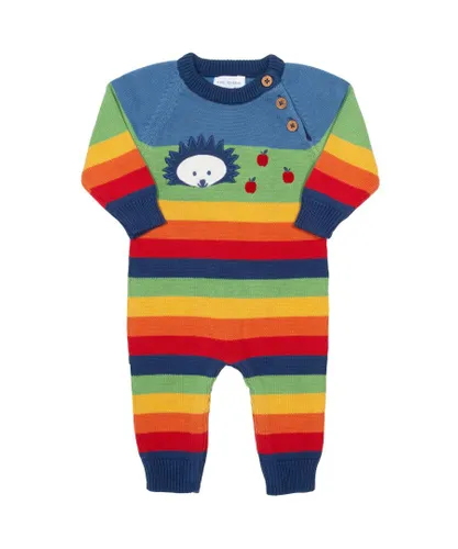 Kite Clothing Baby Unisex Hedgehog Knit Romper - Multicolour Cotton