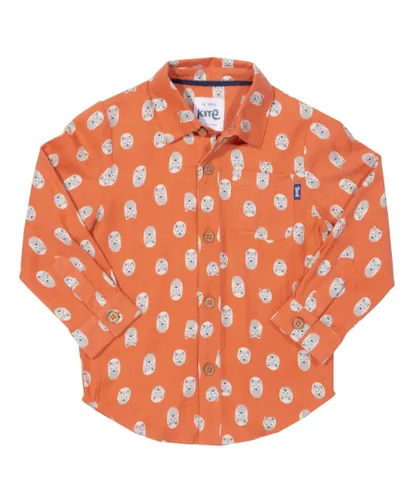 Kite Clothing Boys Little Cub Shirt - Orange