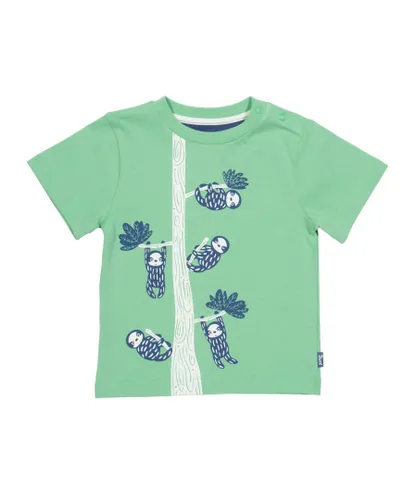 Kite Clothing Boys Little Sloth T-Shirt - Green Cotton