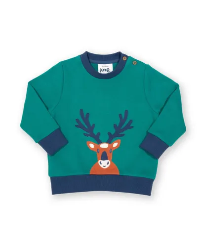 Kite Clothing Boys Reindeer Sweatshirt - Green Cotton