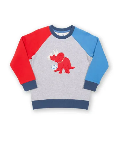 Kite Clothing Boys Sport-A-Saurus Sweatshirt - Grey Cotton