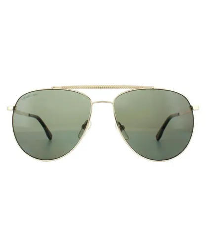 Lacoste Aviator Mens Gold Dark Green Polarized Sunglasses Metal - One