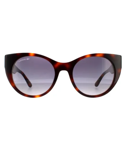 Lacoste Cat Eye Womens Havana Blue Gradient Sunglasses - Brown - One