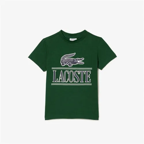 Lacoste Lacoste Graphic Tee Jn33 - Green