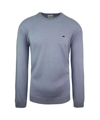 Lacoste Logo Mens Light Blue Sweater Wool (archived)