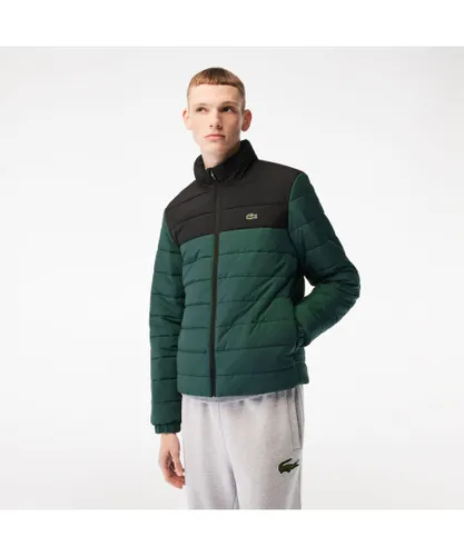 Lacoste Mens Hooded Puffer Jacket in green
