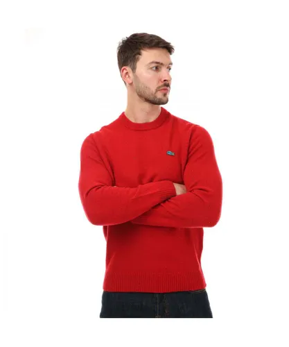 Lacoste Mens Regular Fit Speckled Print Wool Sweater in Red