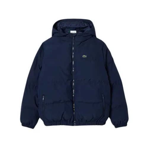 Lacoste , Padded Hooded Jacket ,Blue male, Sizes: